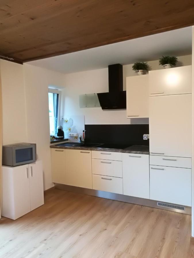 Gemuetliche Wohnung 10 Minuten Vom See Entfernt Целль-ам-Зе Экстерьер фото